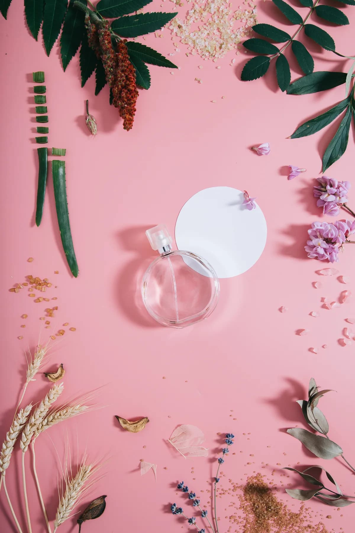 Fragrance Flat Lay Series